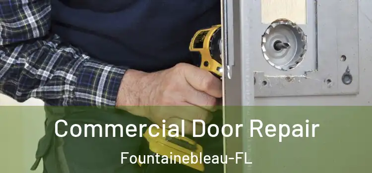  Commercial Door Repair Fountainebleau-FL