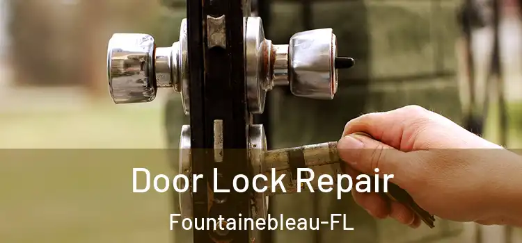 Door Lock Repair Fountainebleau-FL