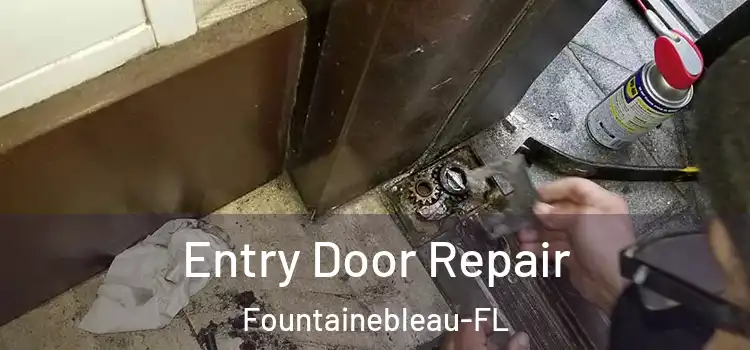 Entry Door Repair Fountainebleau-FL