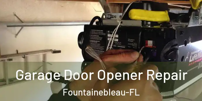 Garage Door Opener Repair Fountainebleau-FL