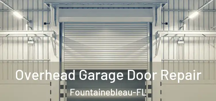 Overhead Garage Door Repair Fountainebleau-FL