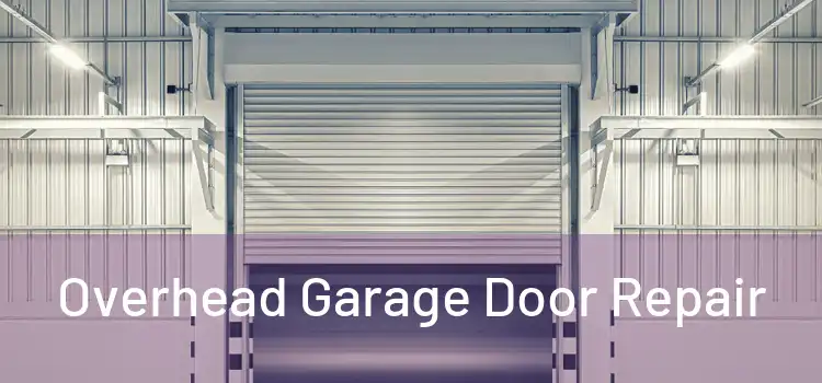  Overhead Garage Door Repair 